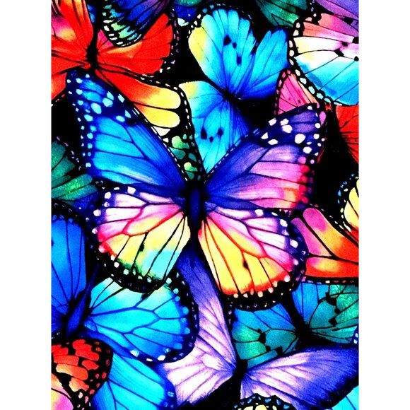 CCC 4XL Cap Sleeve Butterflycore Blouse Artwear Boho Street Chic Color Pop Core - Picture 11 of 11